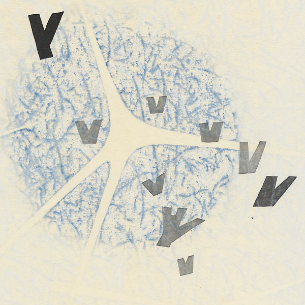 Verso